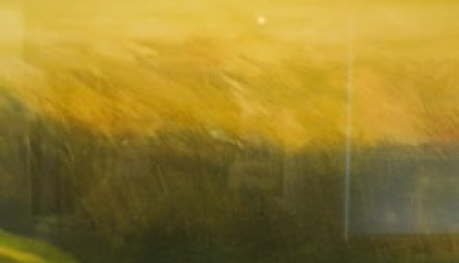 Valkas novadpētniecības muzeja krājuma izstāde “Latvijas ainavas”