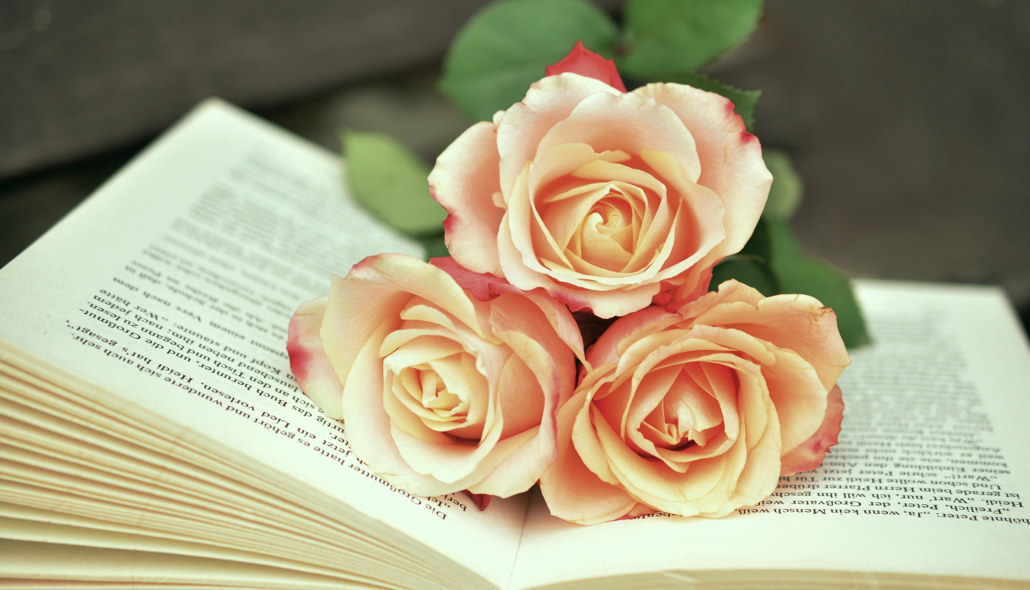 Izlaidumi un svinīgie pasākumi Valkas novada izglītības iestādēs