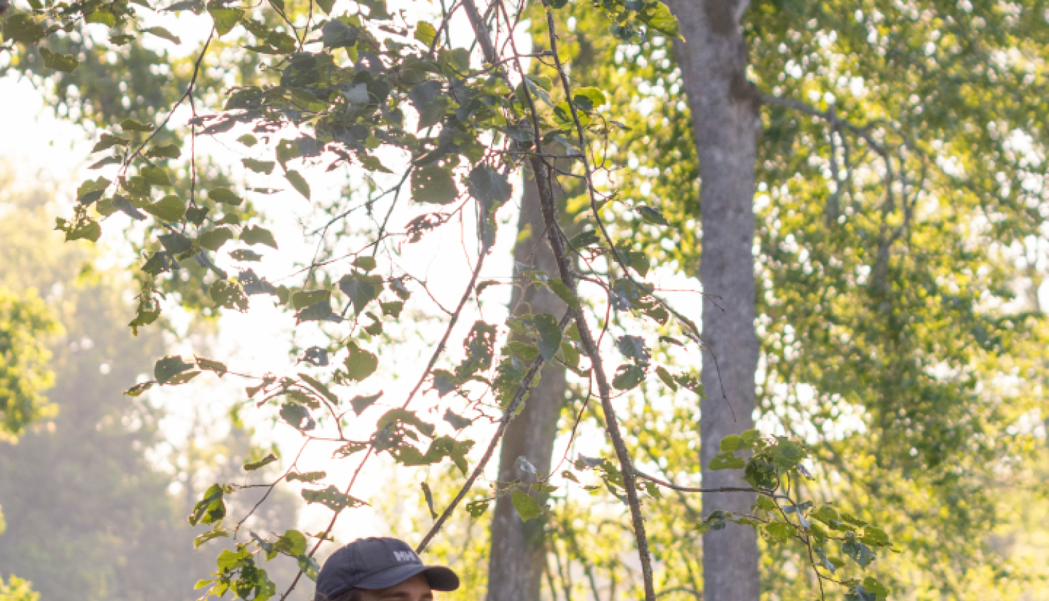 titulam_Reinis Veinbergs