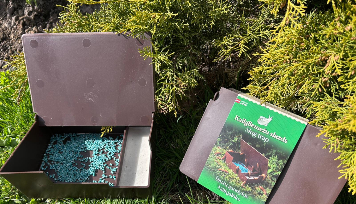 Spāņu kailgliemeži