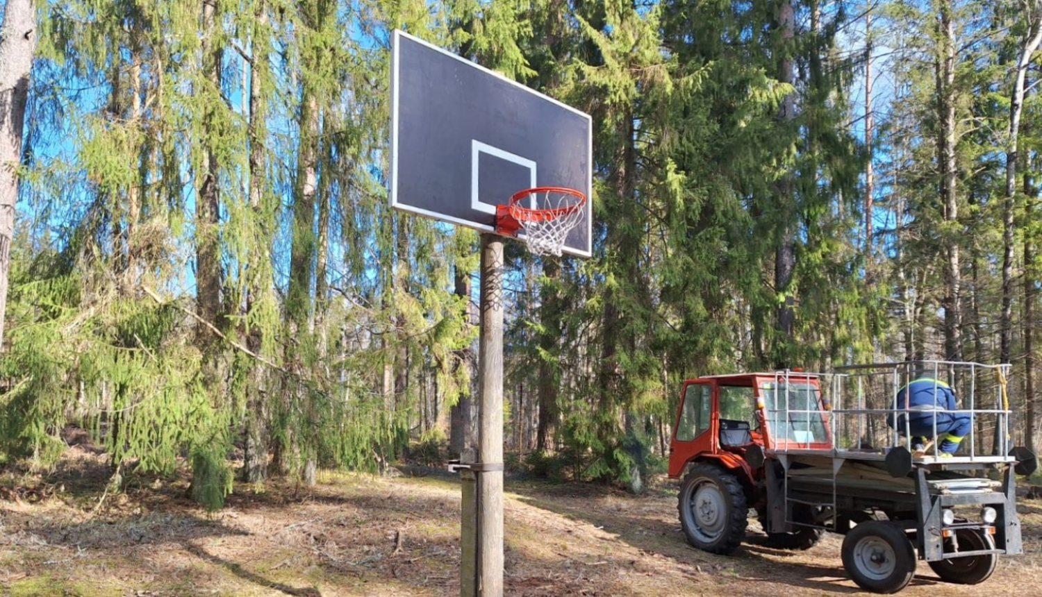 Basketbola grozs mežā