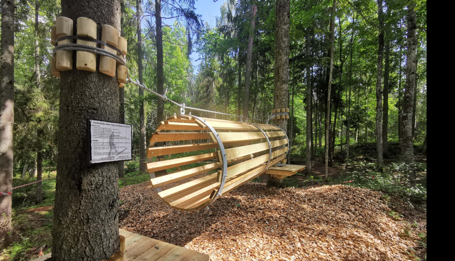 Koka elements Lustiņdruvā