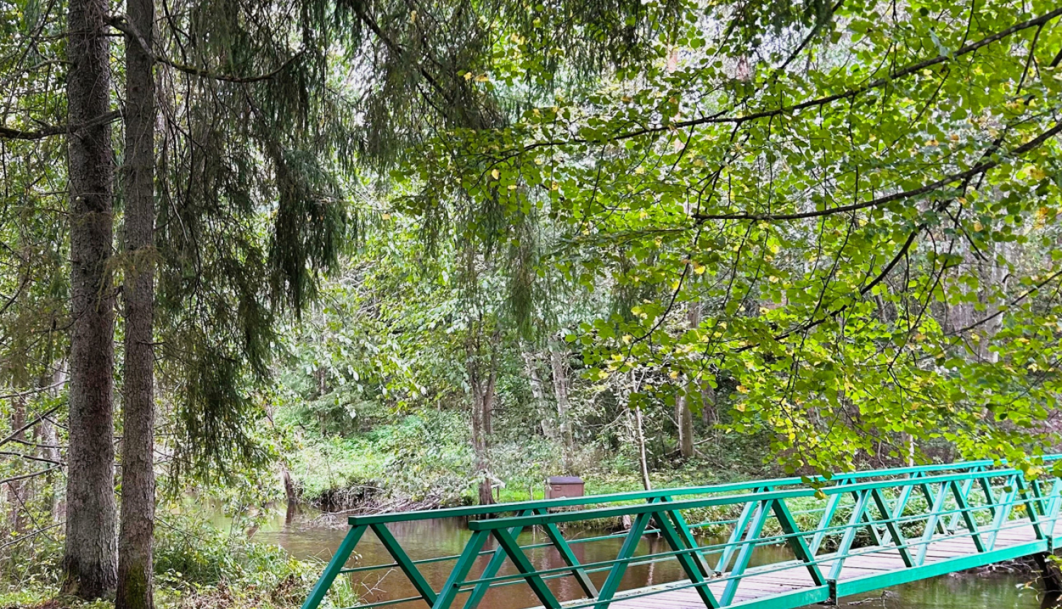 Tiltiņš Valkas Mežaparkā