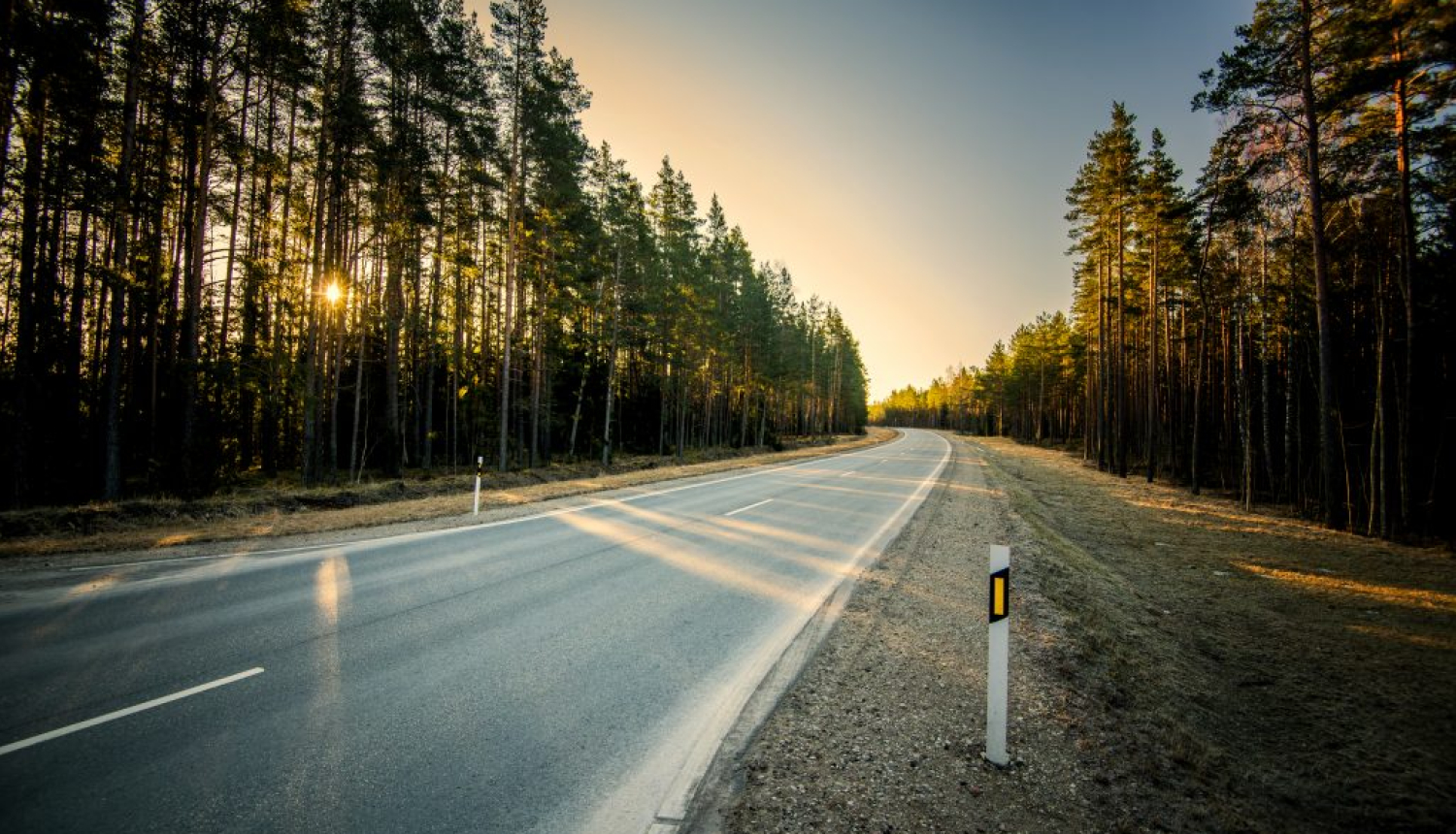 Apledojis ceļš gar mežu