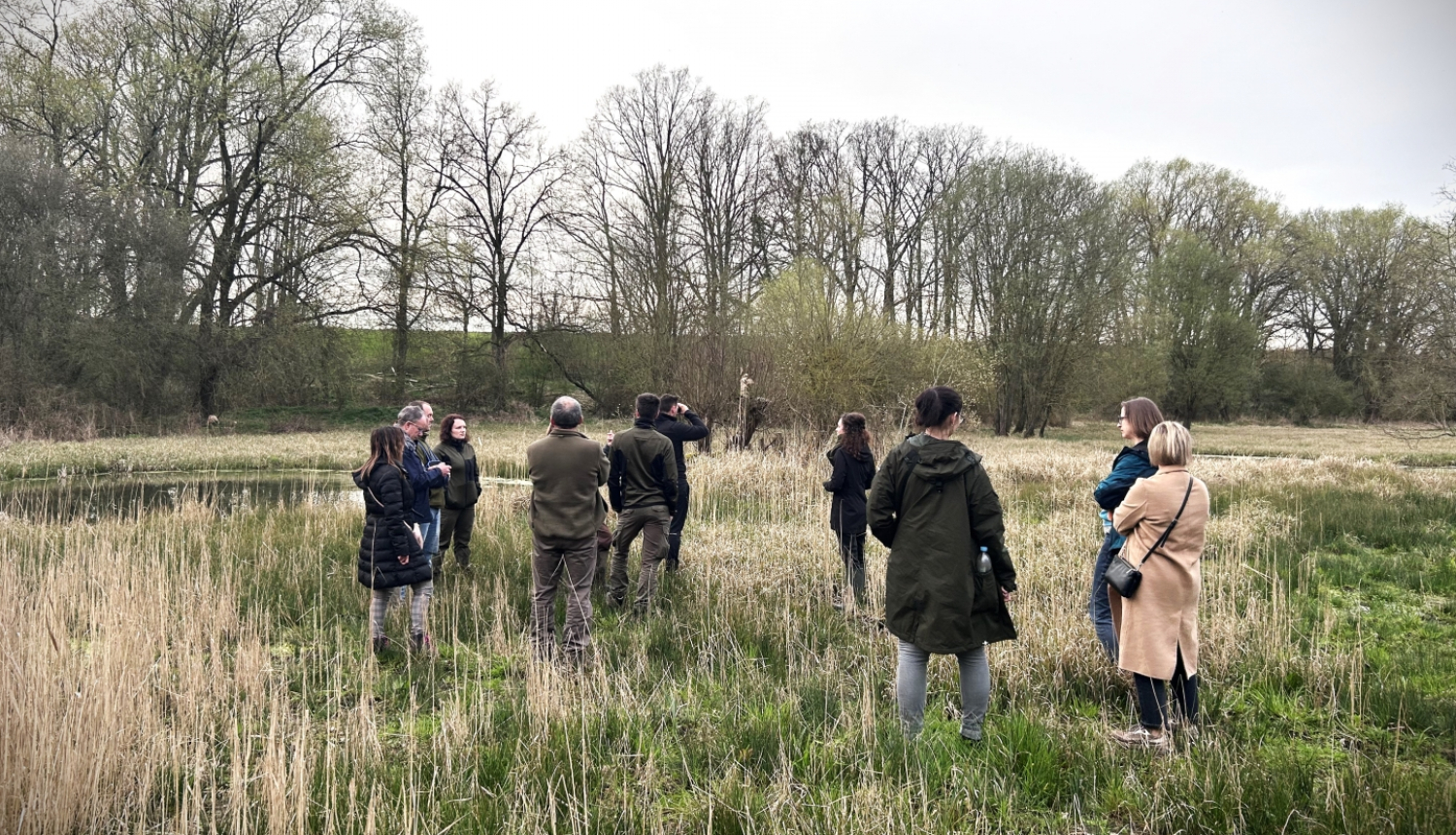 11 cilvēki stāv pļavā