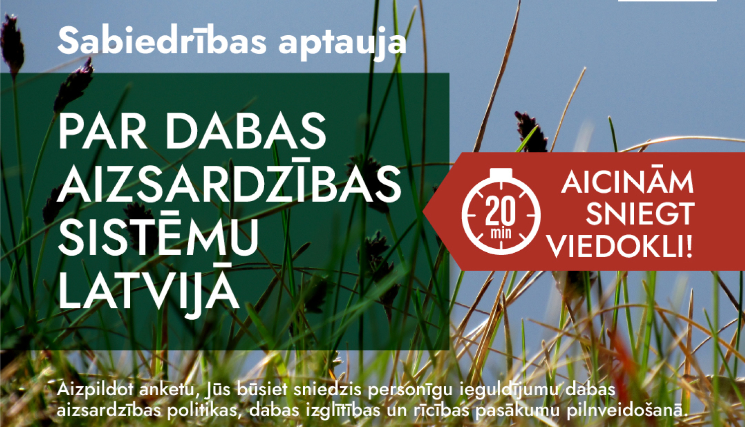 Savvaļas pļava tuvplānā