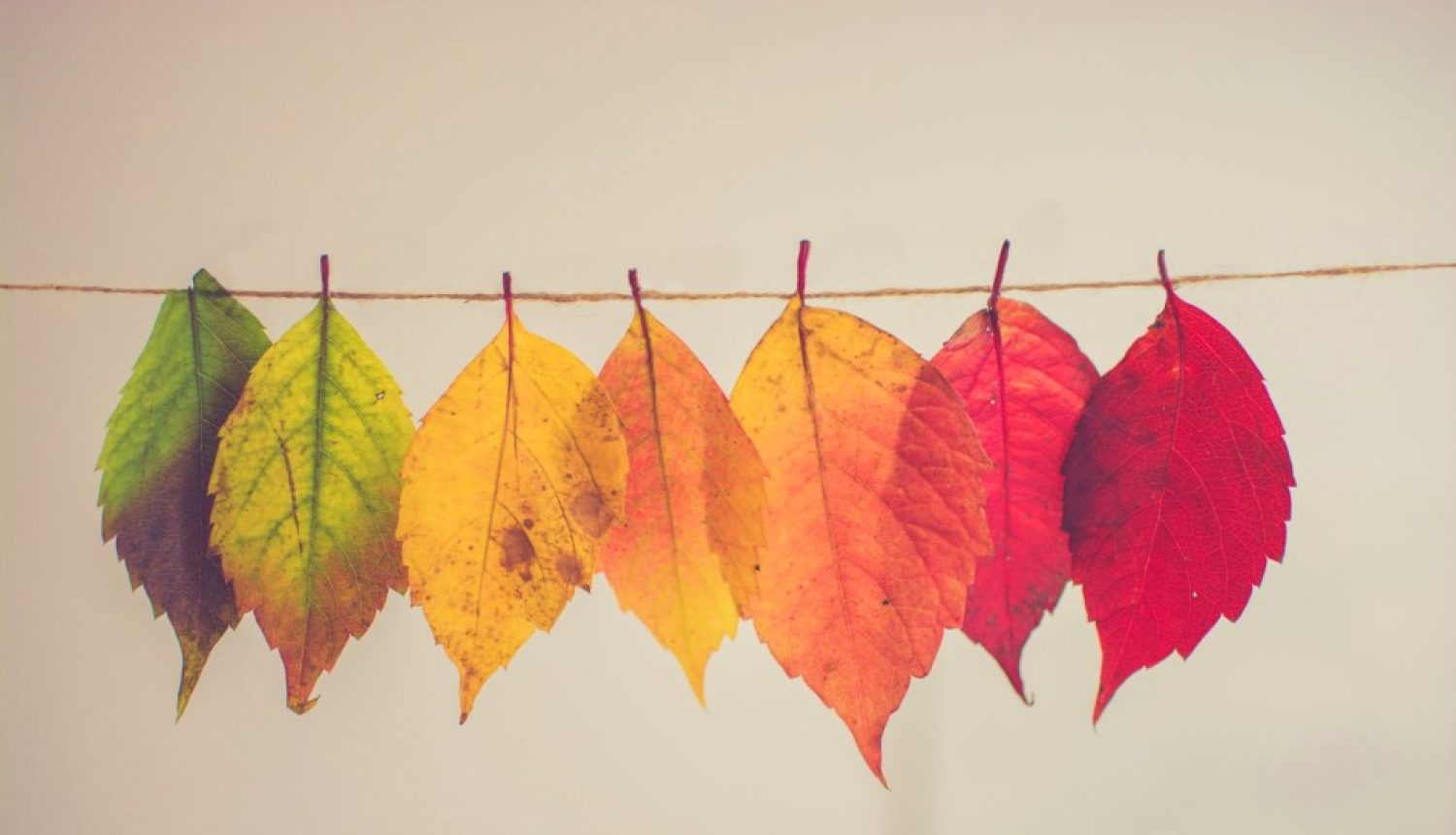 Jauniešu un darbā ar jaunatni iesaistīto izaugsmes iespējas novembrī – vebināri, tiešsaistes mācības, aptaujas un spēles