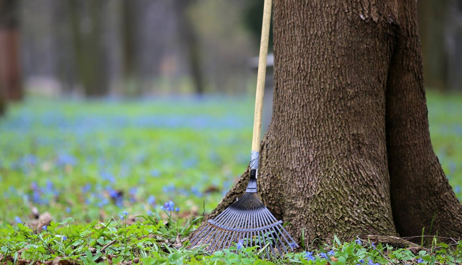 Lielā Talka šogad notiks 22. aprīlī - Starptautiskajā Zemes dienā