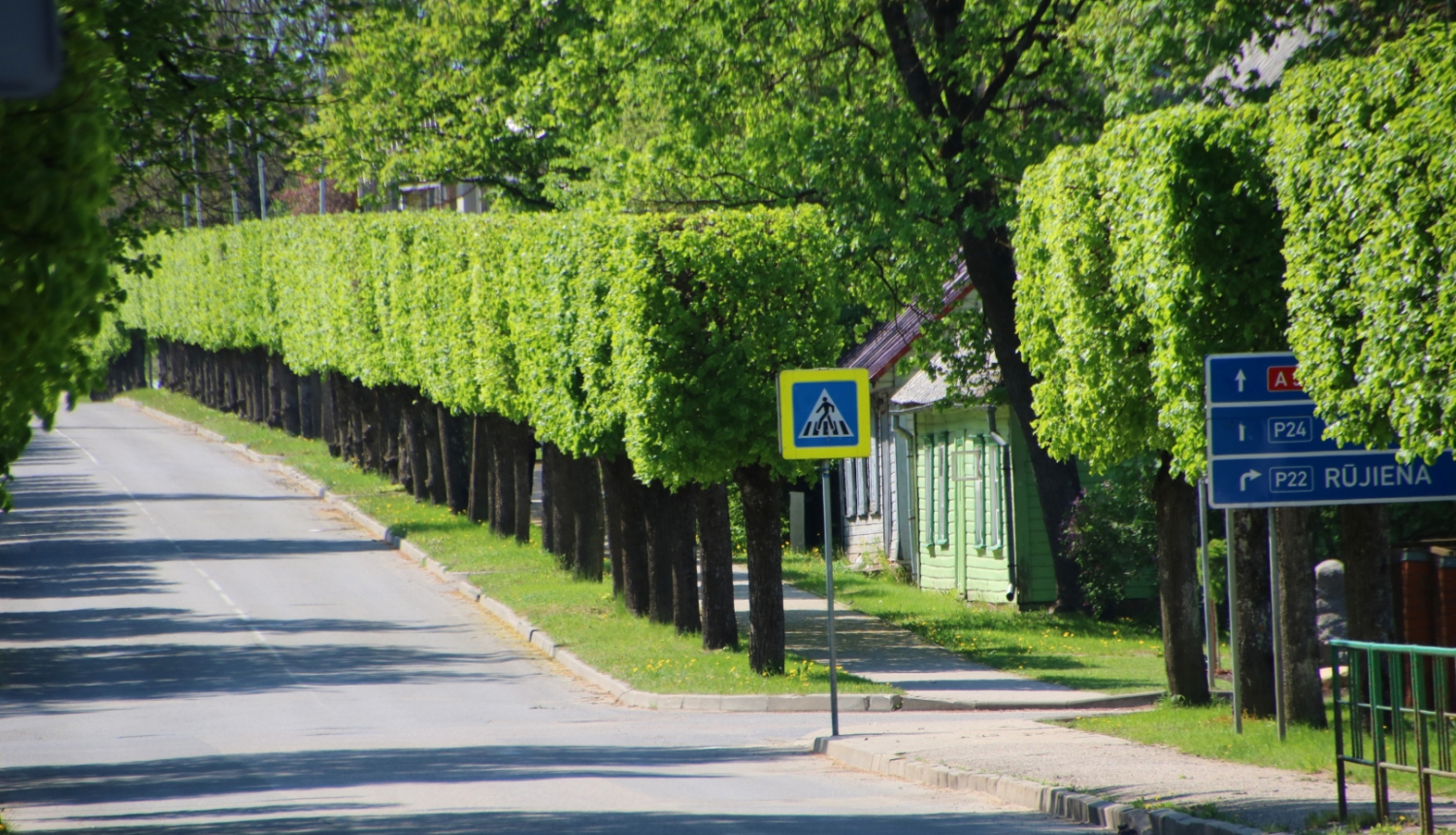 Iela ar saformētām liepām