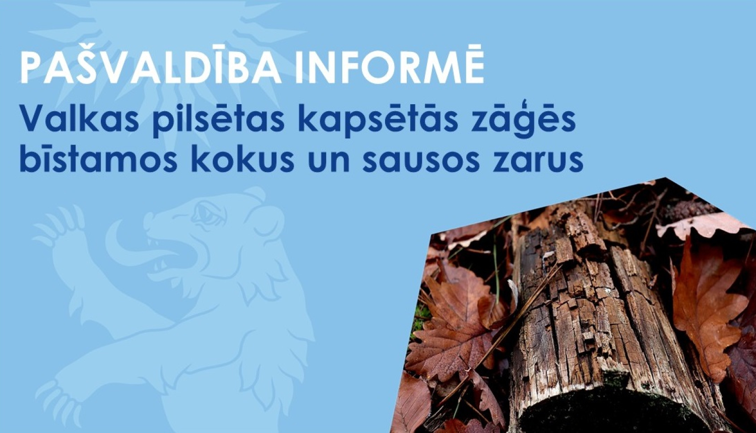 Baneris ar virsrakstu