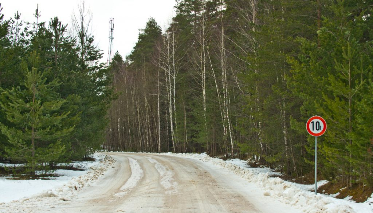 Grants ceļš ar 10 tonnu svara ierobežojuma zīmi mežā