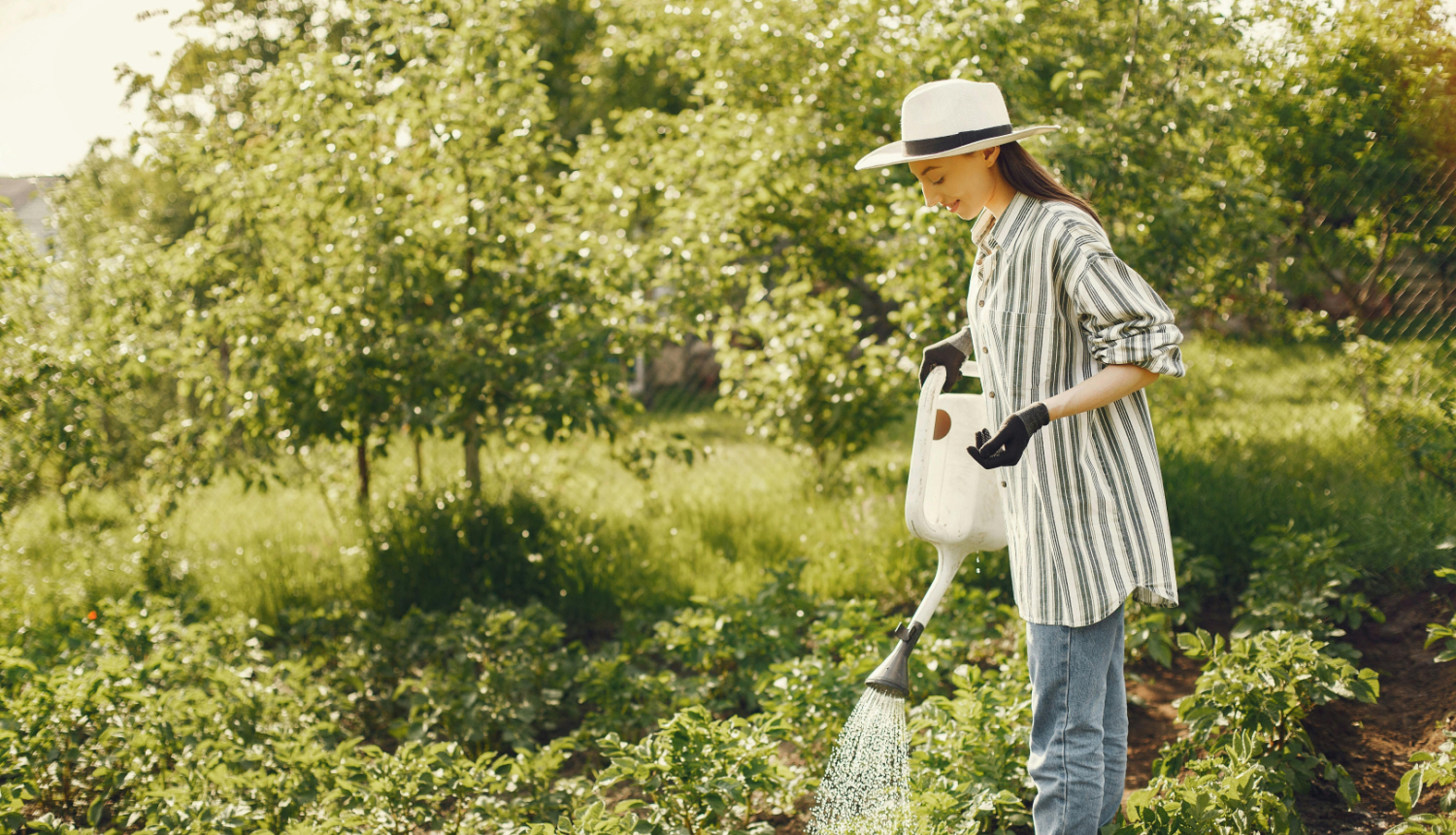 Sieviete strādā dārzā