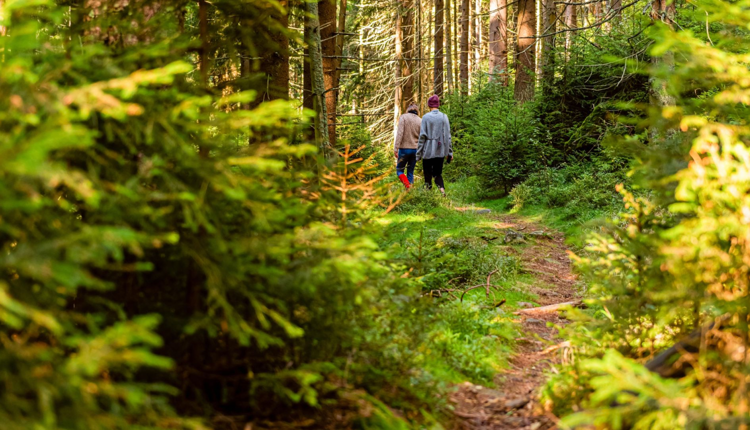 tituls_plogings_Valkas pagasts