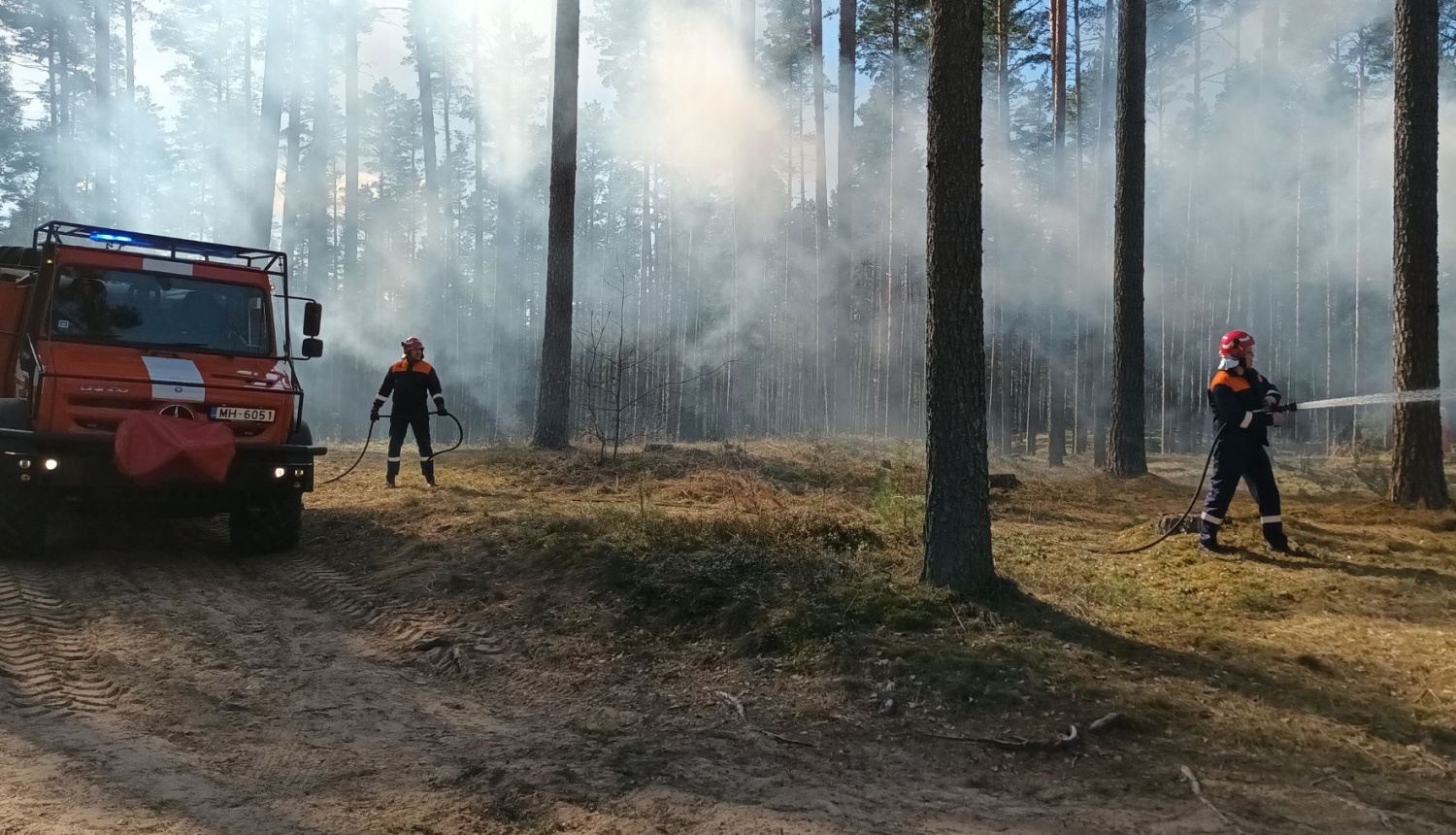 Ugunsdzēsēji un dienesta auto mežā pēc ugunskrēka dzēšanas