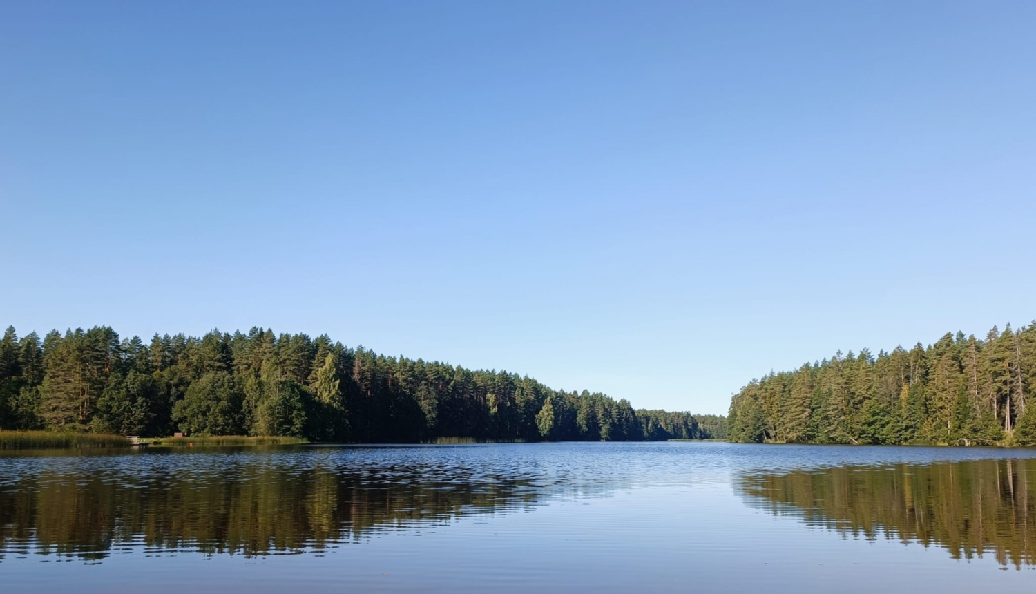 Zāģezers ar dzidru ūdeni un mežu fonā