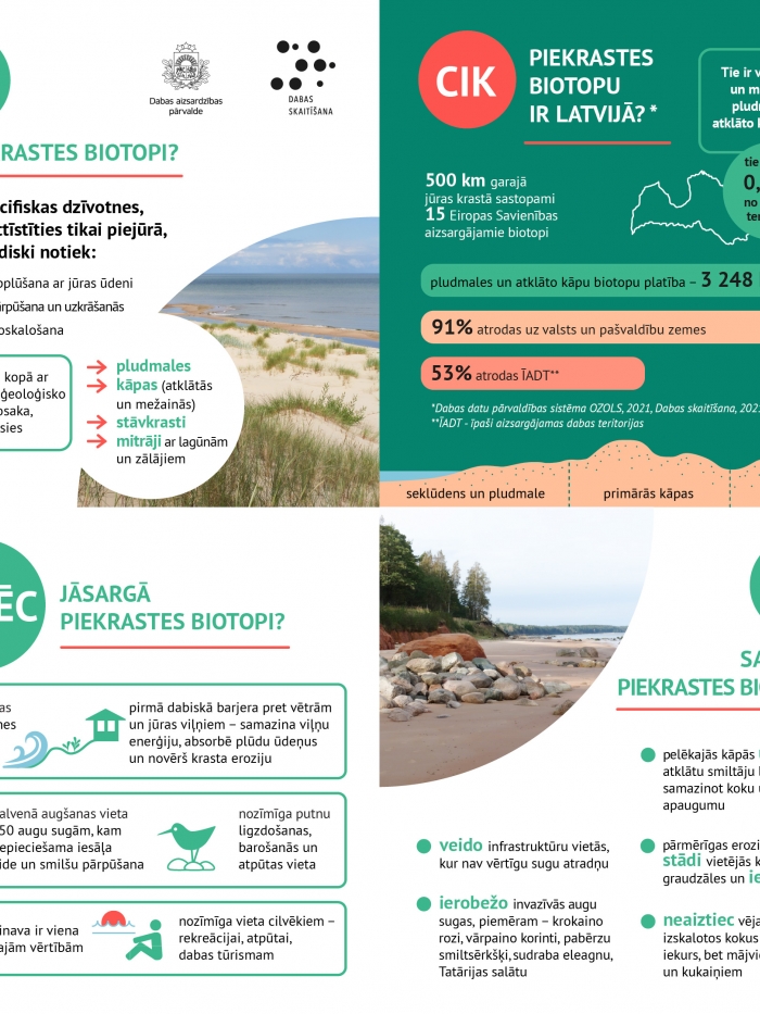 Infografika