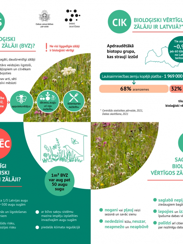 Infografika