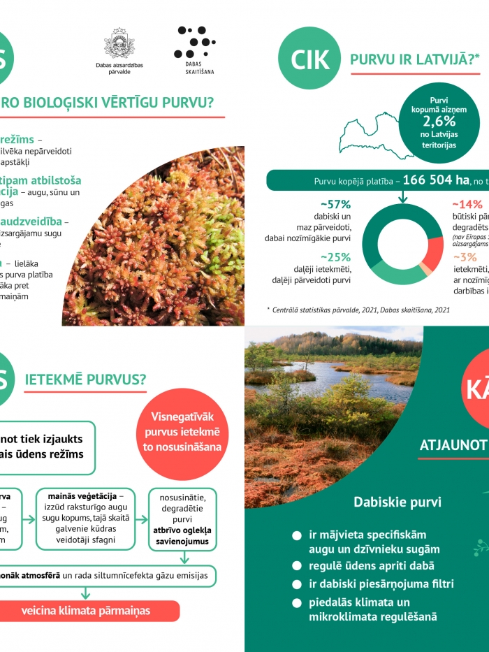 Infografika