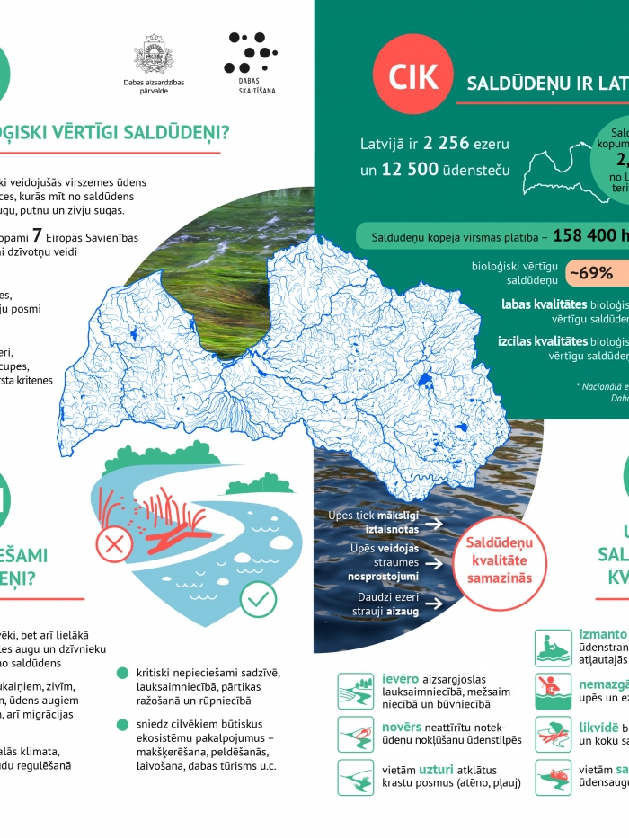 Infografika