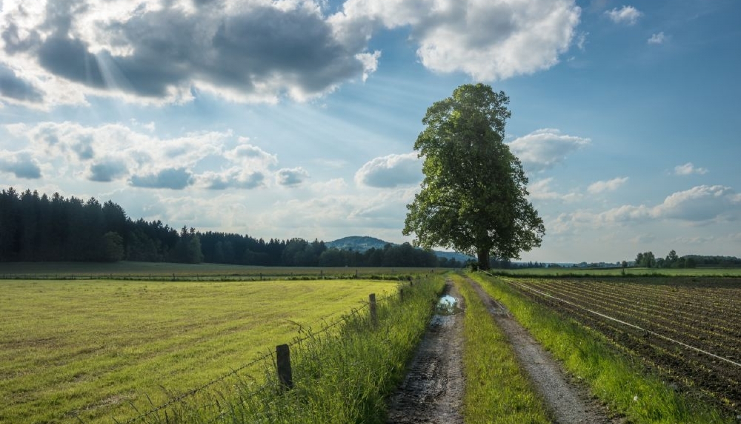 No 12.aprīļa var pieteikties platību maksājumiem