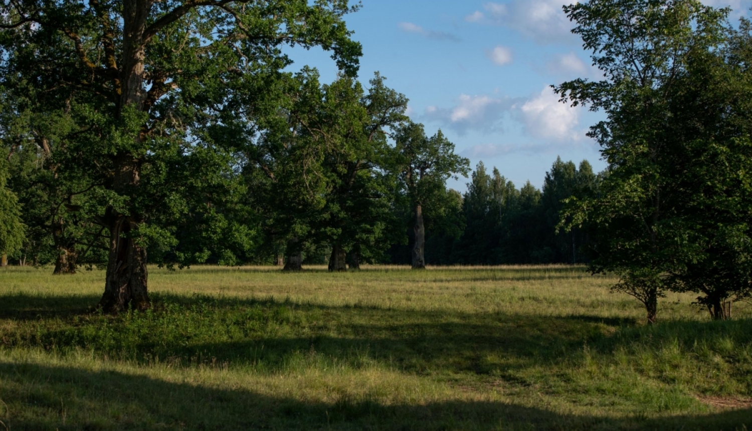 Valkas novada pašvaldība īsteno projektu “WoodMeadowLIFE”