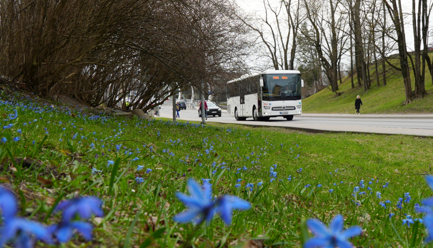Autobuss brauc pa ielu, priekšplānā zāliens ar zilām puķītēm