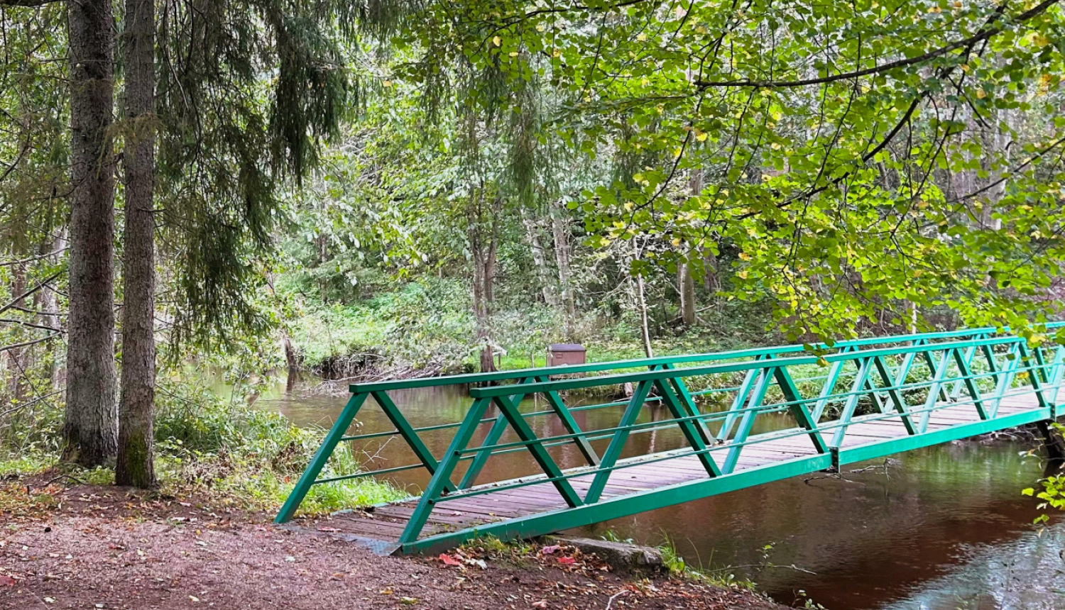 Tiltiņš Valkas Mežaparkā