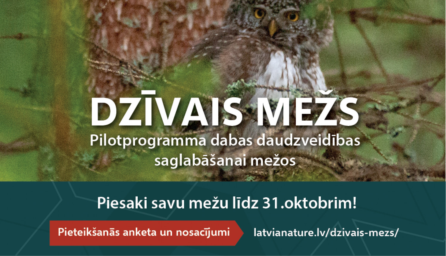 Veidos jaunus sadarbības modeļus dabas vērtību saglabāšanai privātajos mežos