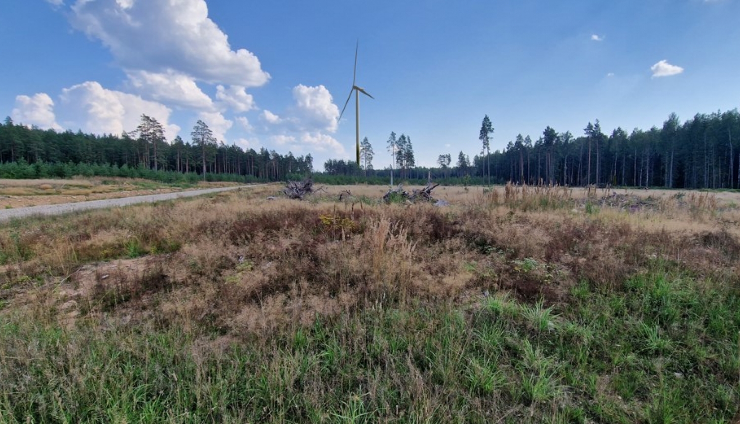 Ainavas ietekmes piemērs 0,6 km attālumā ar 250 m augstām turbīnām